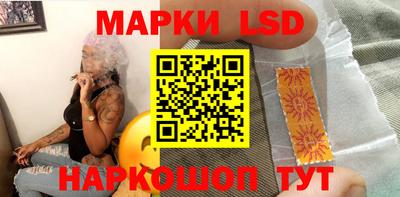 МДПВ Бийск