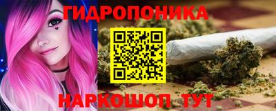 МДПВ Бийск