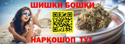 МДПВ Бийск