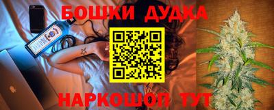 МДПВ Бийск
