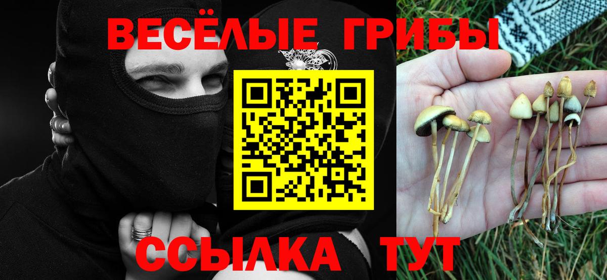 Ишим  Псилоцибиновые грибы мицелий  Вход с VPN 