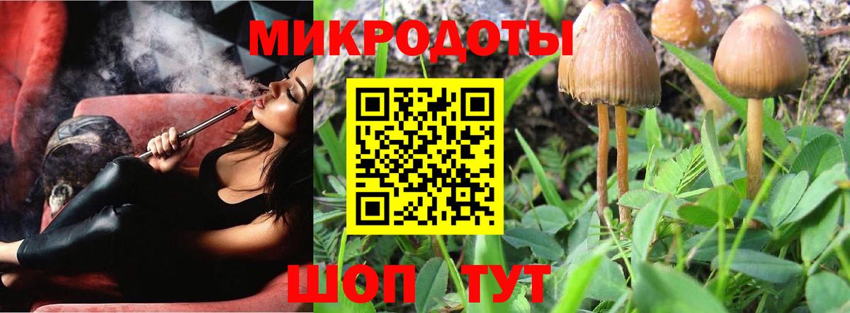 Галлюциногенные грибы Cubensis Ишим
